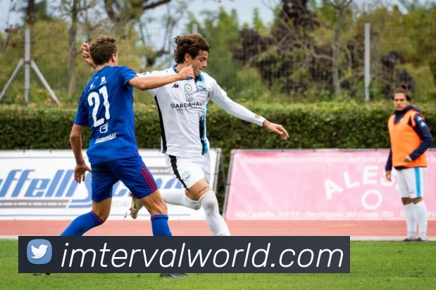 乐鱼登录服务体系